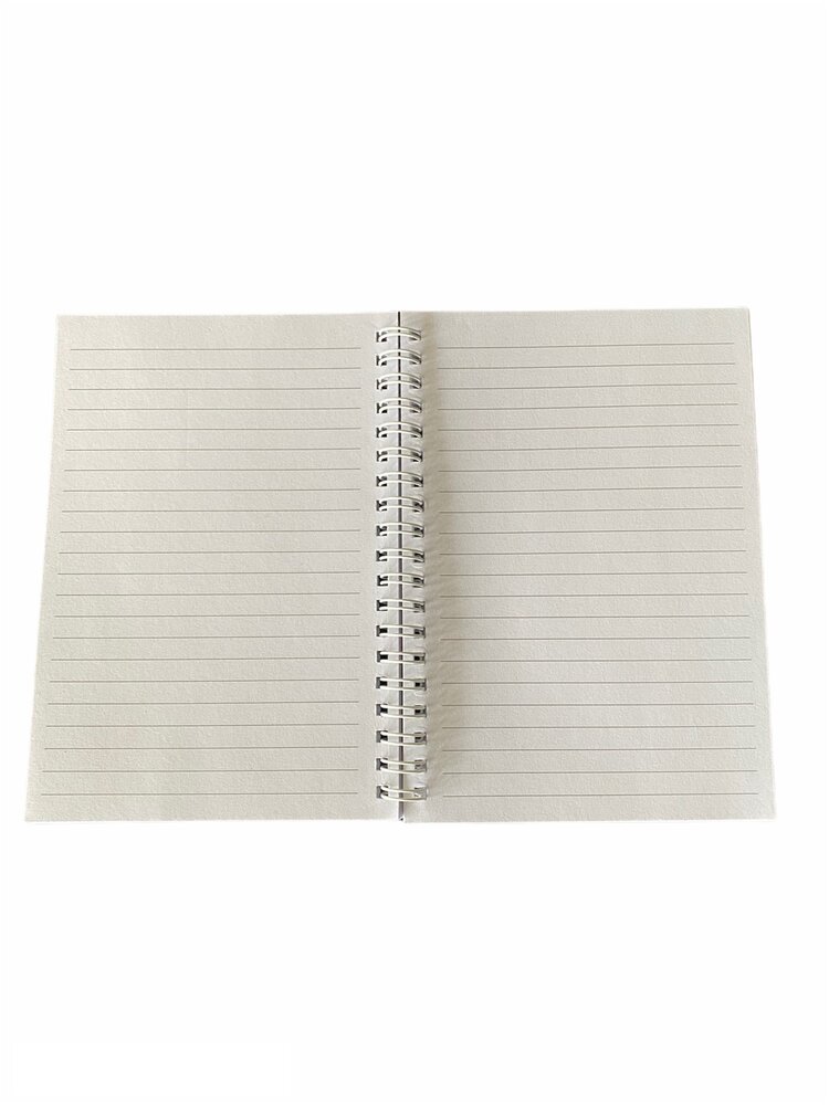 Binnenkant 3D t-rex boek