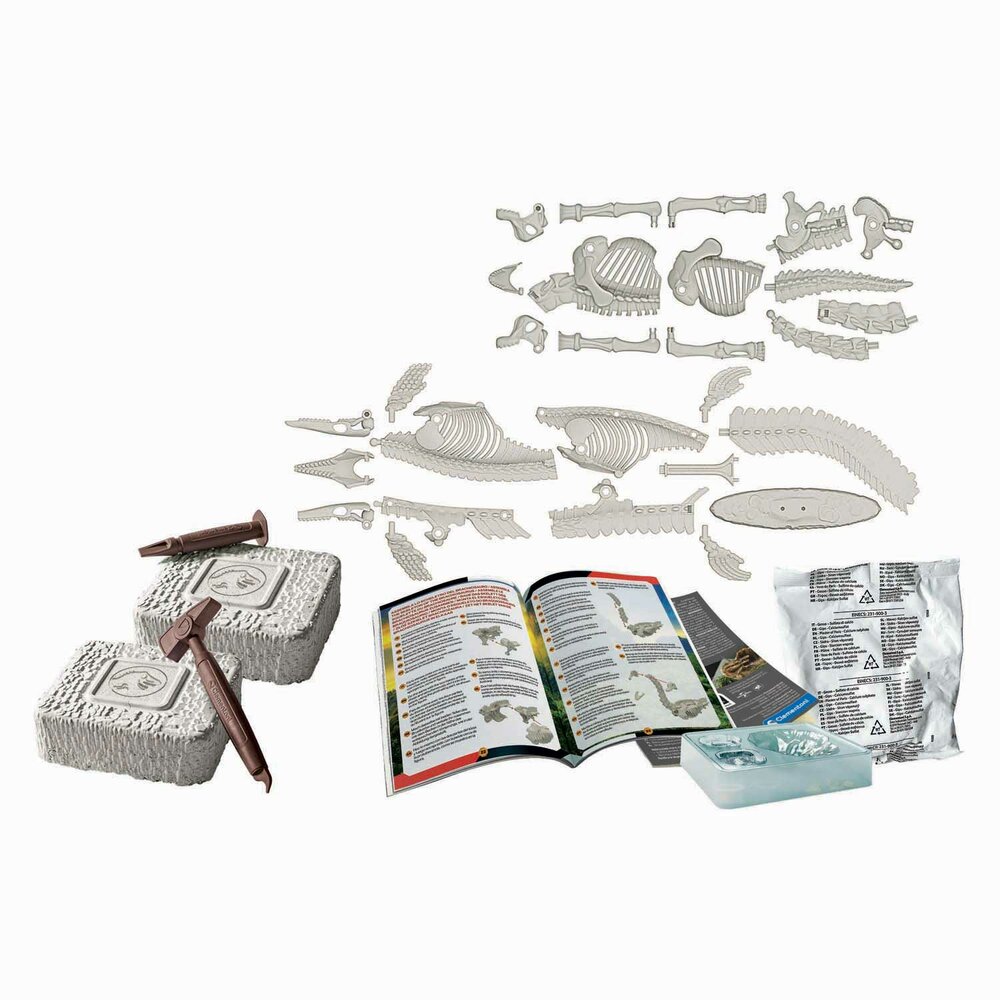 vind het dino skelet