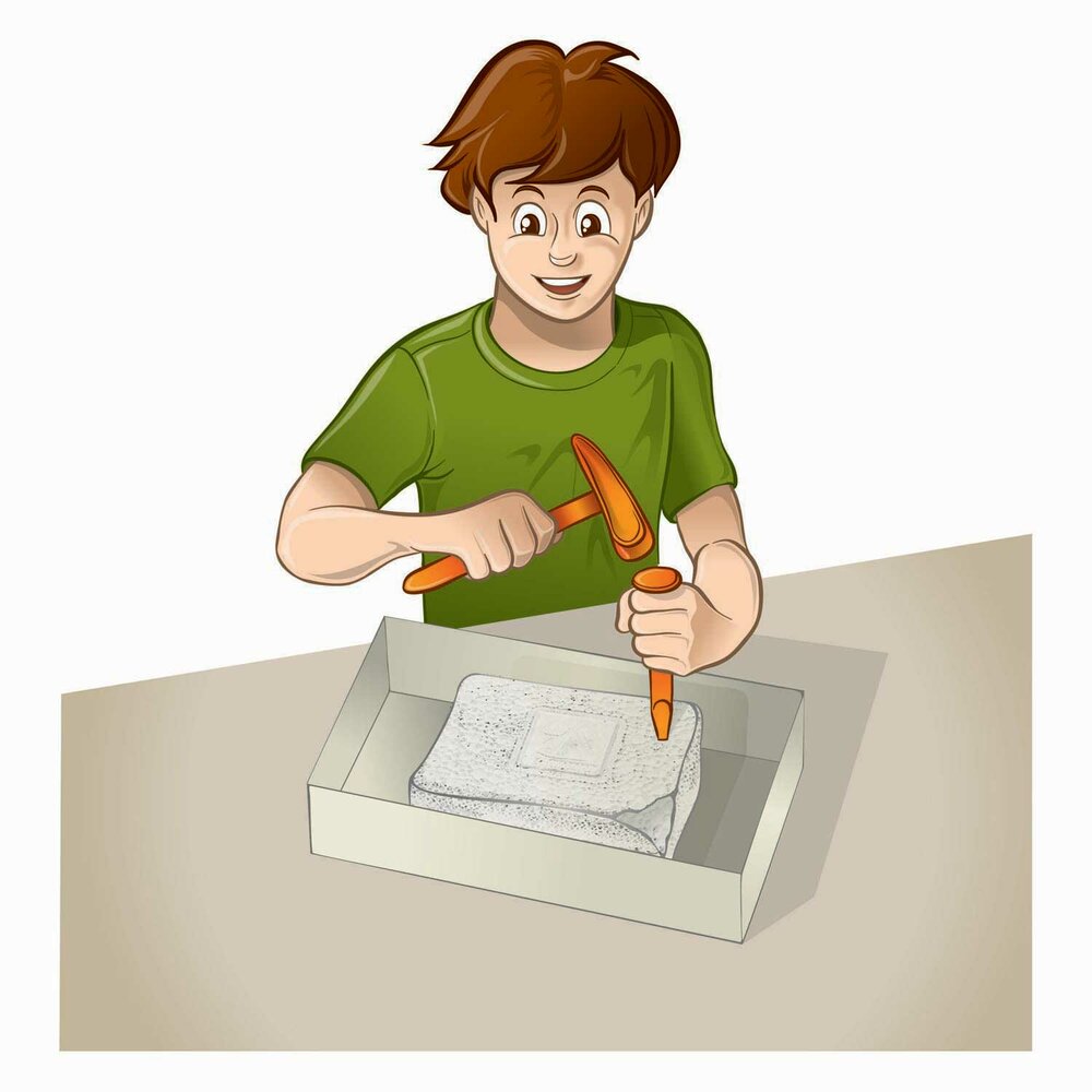 een steen met daarin een fossiel