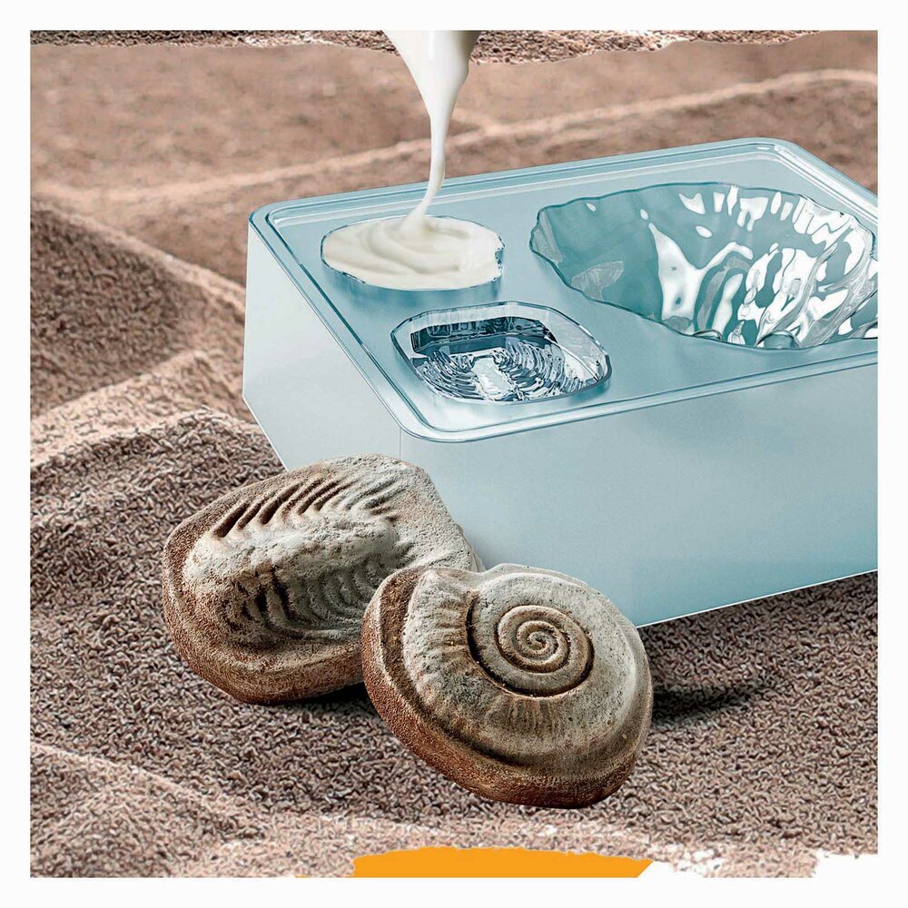 zoek het dino skelet 