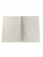 Binnenkant 3D t-rex boek