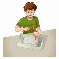 een steen met daarin een fossiel