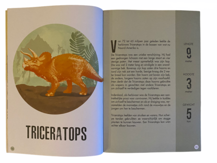 Stegosaurus 3D model met informatieboekje