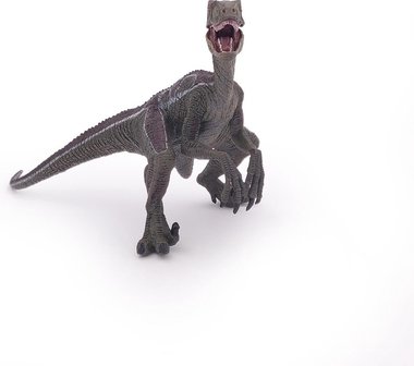 Velociraptor