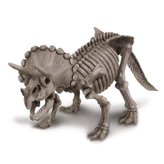 Triceratops uitgraafblok