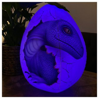 Raptor met licht