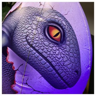 Raptor met licht