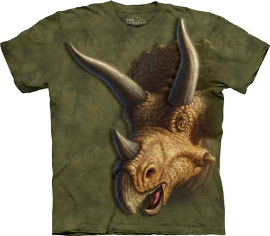 Triceratops hoofd