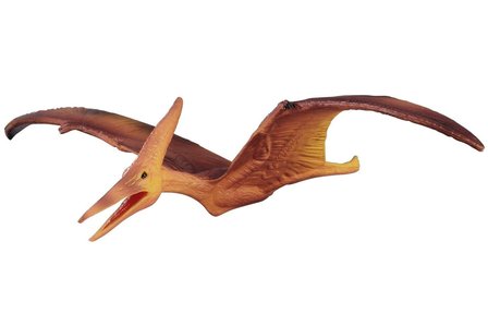 pteranodon