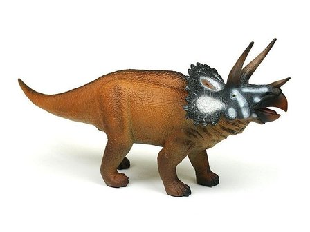 Triceratops collecta