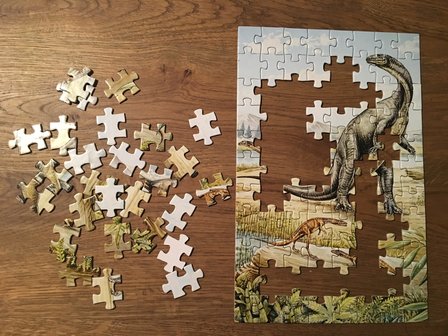 zelf de puzzel gemaakt