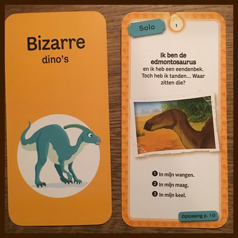 Dino Quiz