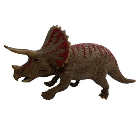 Triceratops