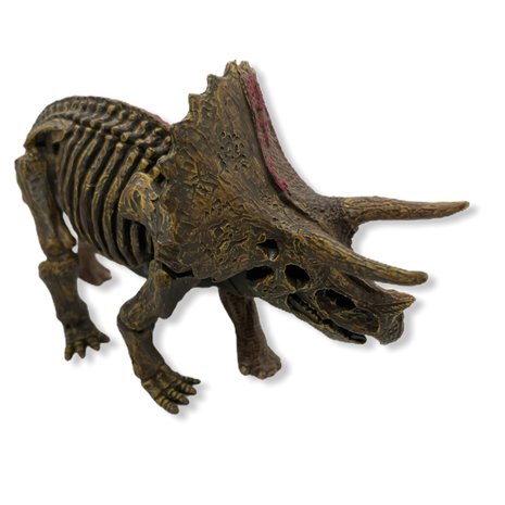 Triceratops 