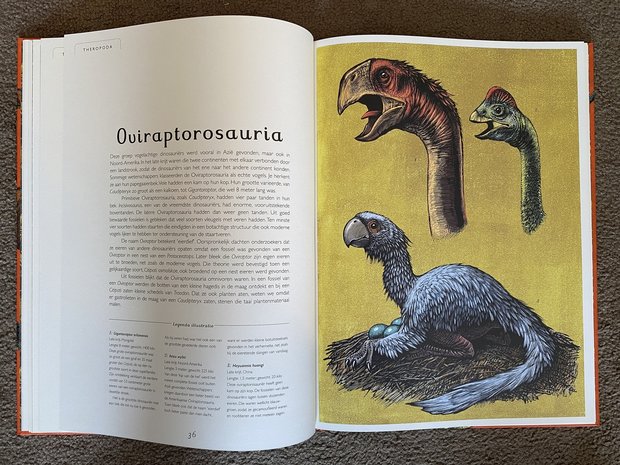 Lannoo dinosauriers