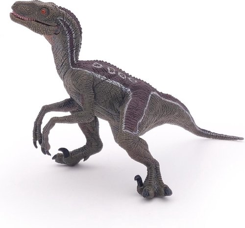 Velociraptor