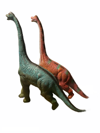Brachiosaurus kop