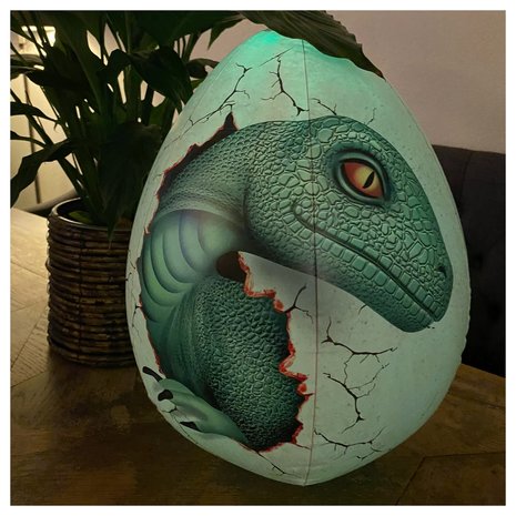Raptor met licht