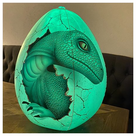 Raptor met licht