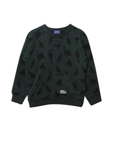 dinosaurus sweater