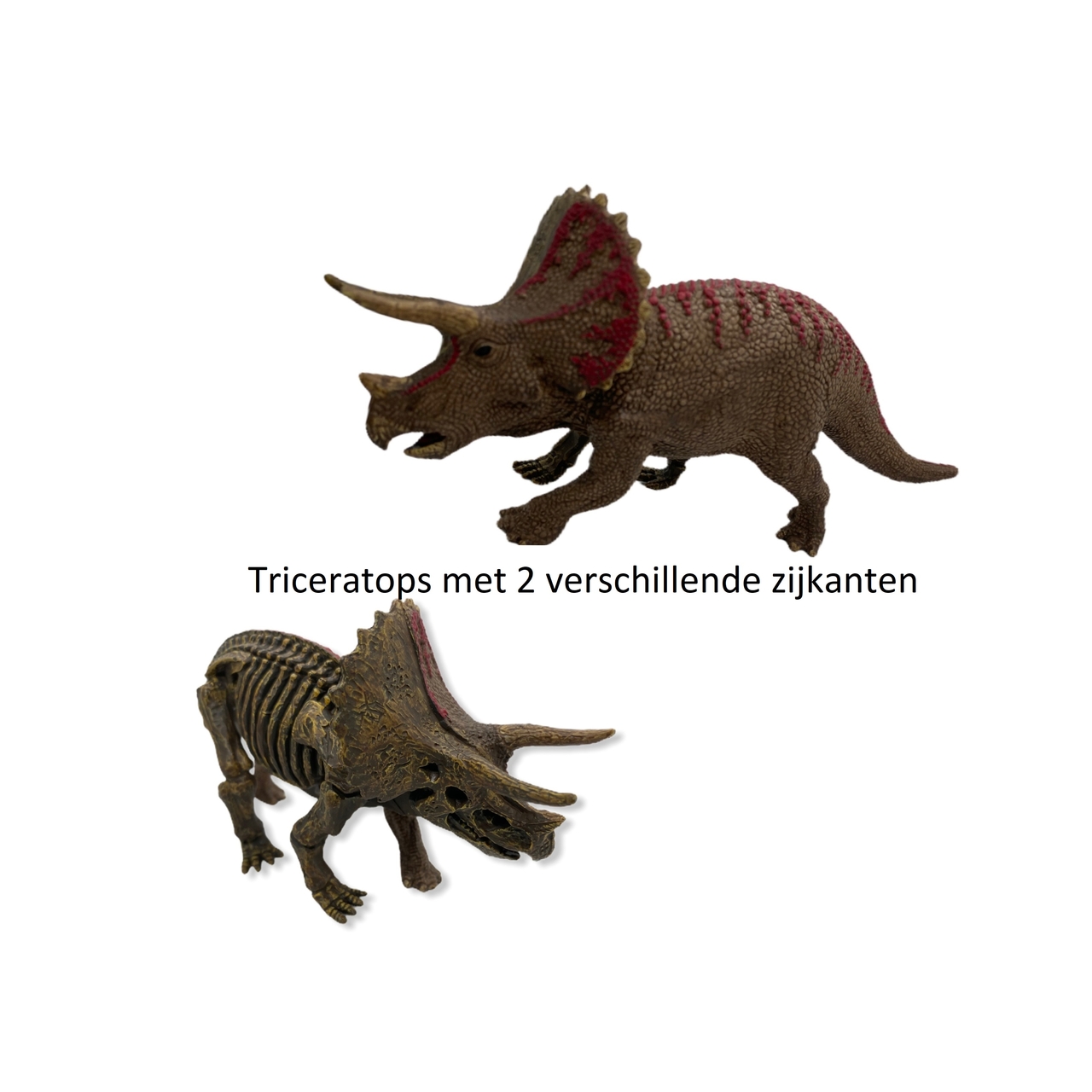 Monarch Ondenkbaar Pacifische eilanden Speelgoed Triceratops - Dinosaurussen - Speeldino - Dinoworld