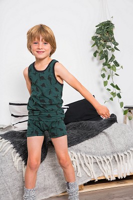 Dino ondergoed online