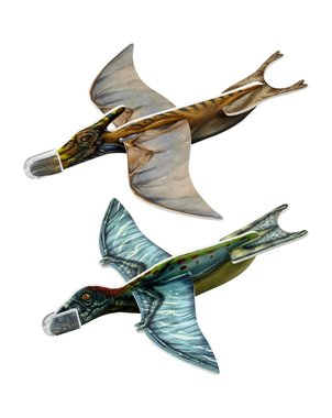 Dinosaurus vlieger (gilder) (per stuk)