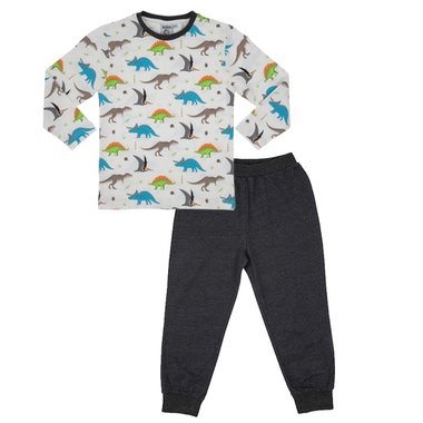 Pyjama dinosaurus - vrolijke dino's