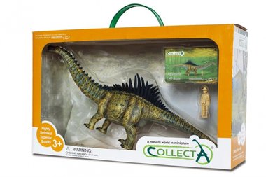 Agustinia GROOT (collecta) (kadoverpakking)