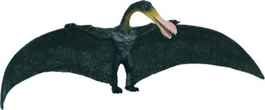 Ornithocheirus (collecta)