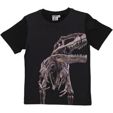 Dinosaurus t-shirt - T-rex skelet