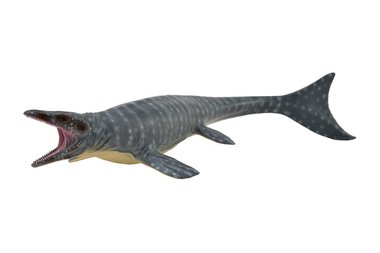 Mosasaurus (collecta)