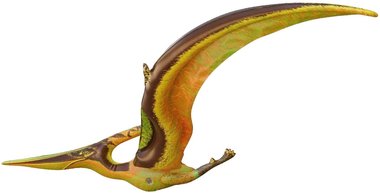 Opblaasbare Pteranodon - Pterodactyl - klein - (80x38 cm)