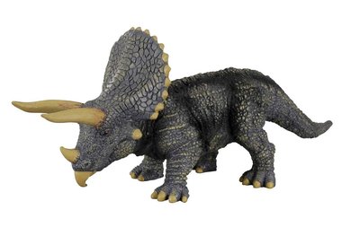 Triceratops (collecta)