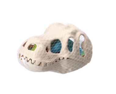 Dino strandset skelet