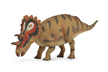 Regaliceratops (collecta)