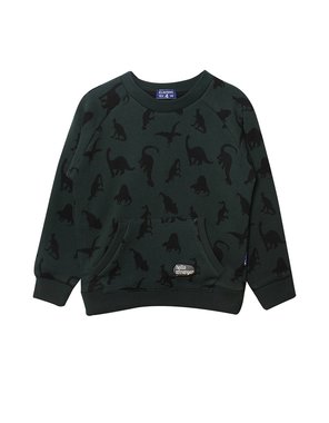 Dinosaurus sweater (groen) Claesen's (152-158)